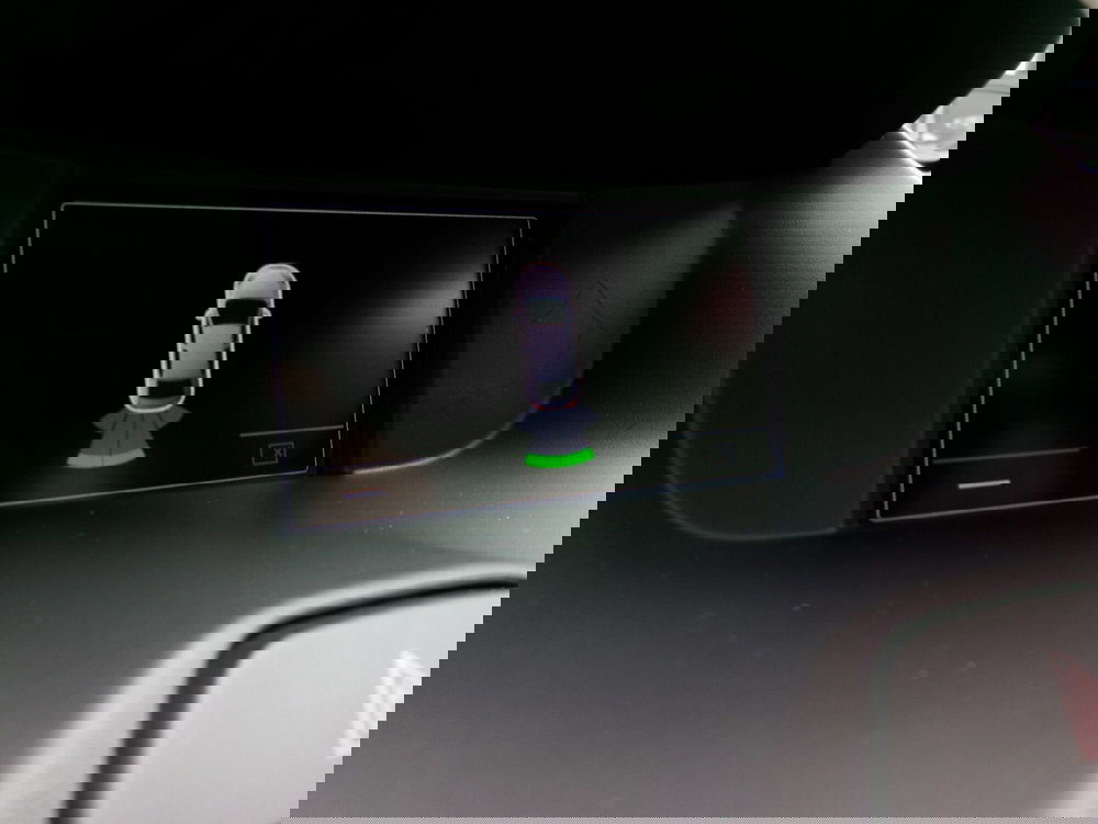 Ford Fiesta usata a Venezia (15)