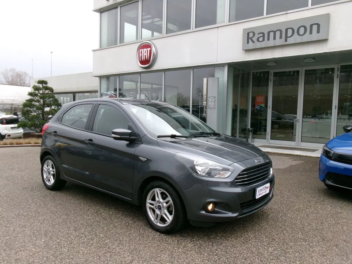 Ford Fiesta usata a Venezia (6)