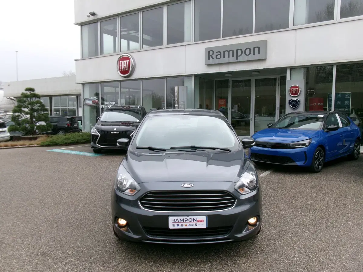 Ford Fiesta usata a Venezia (7)