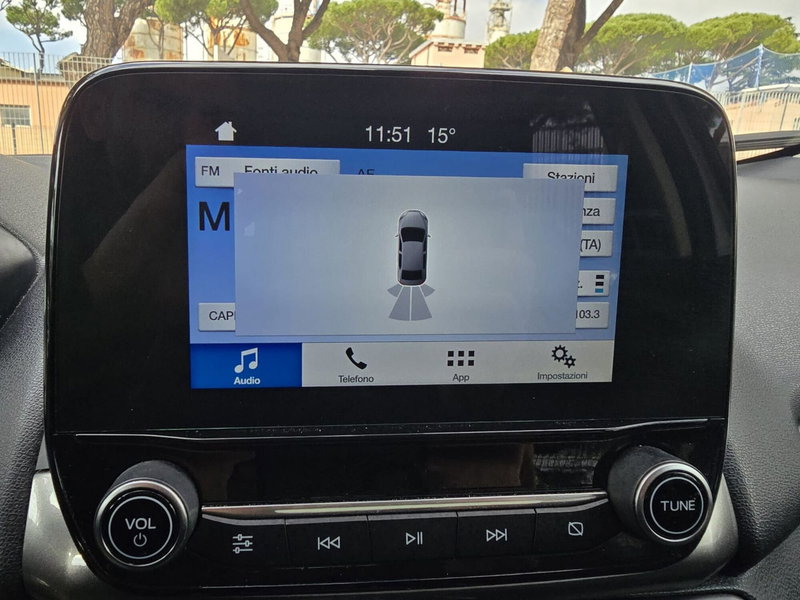 Ford EcoSport usata a Massa-Carrara (10)