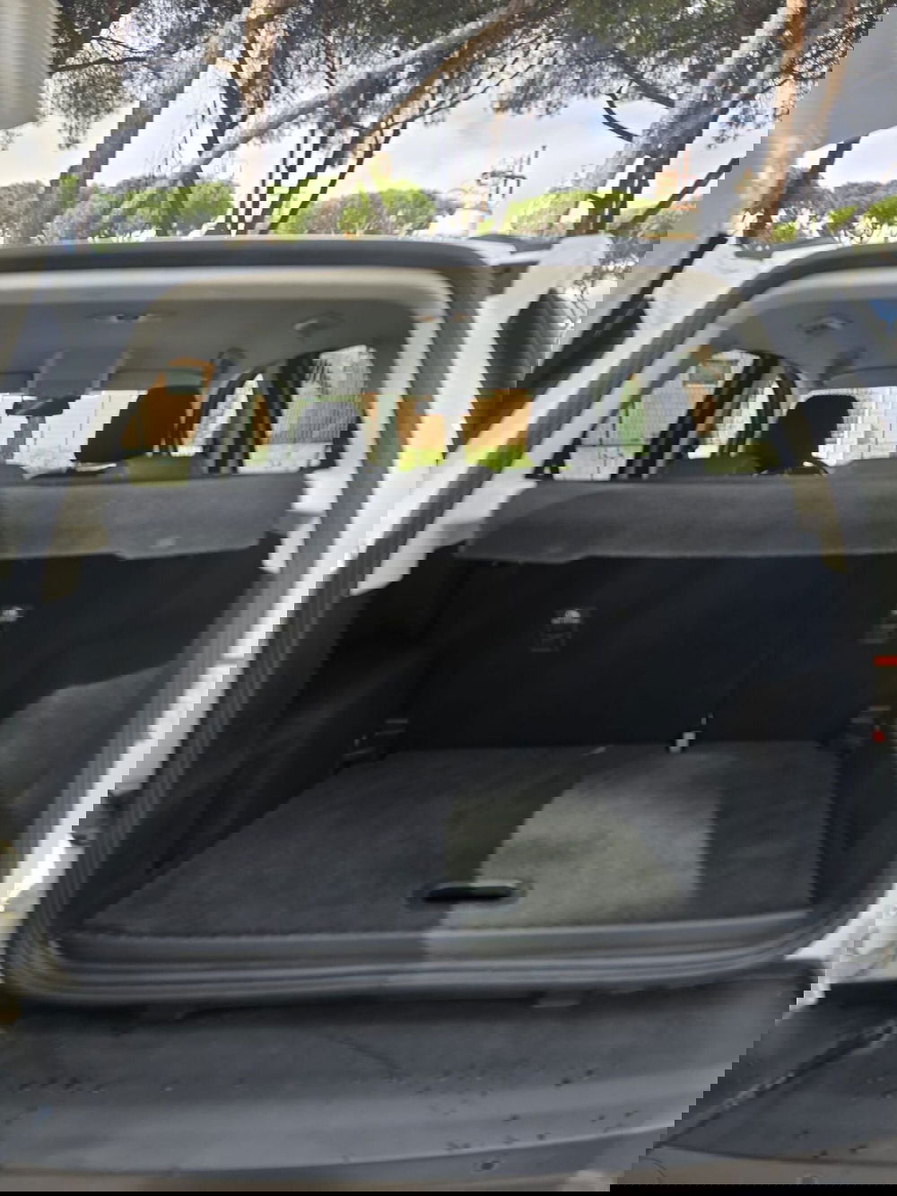 Ford EcoSport usata a Massa-Carrara (13)