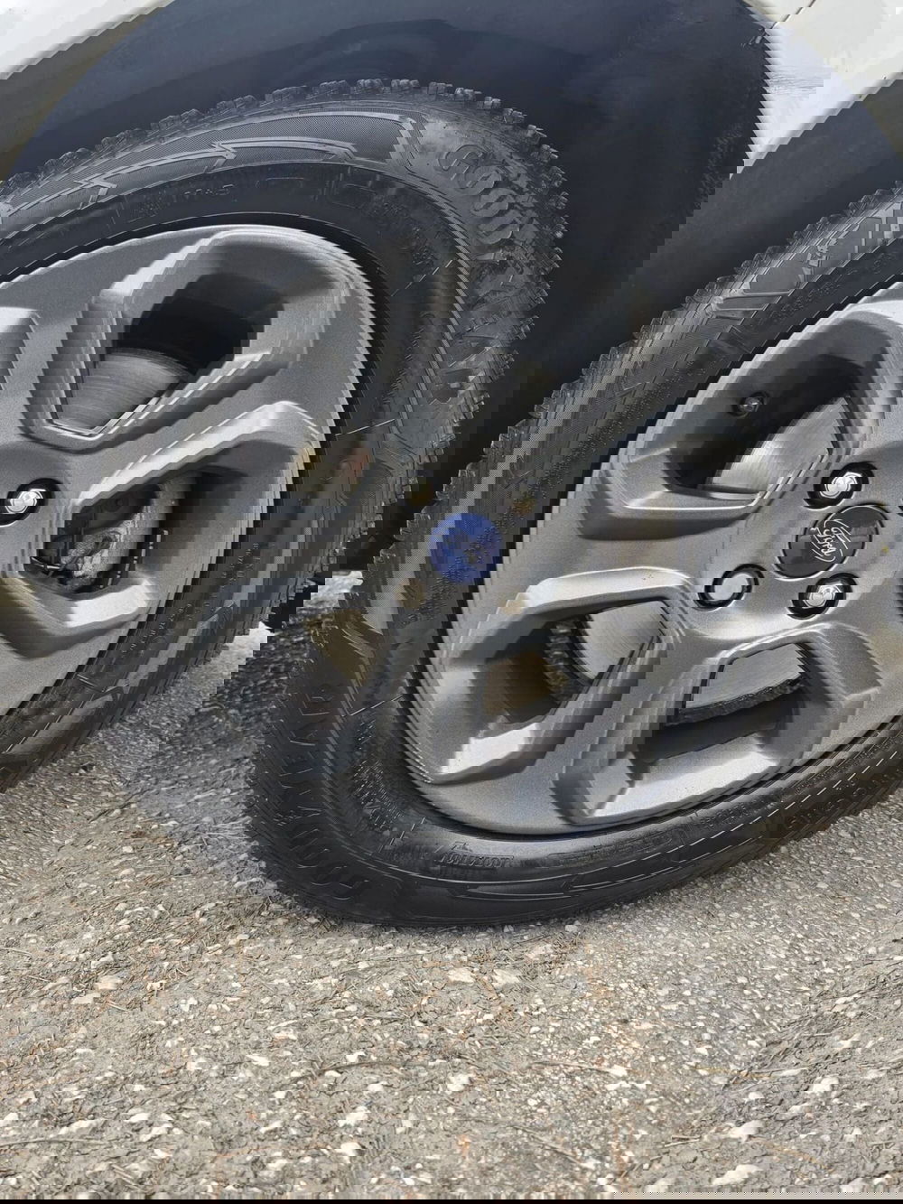 Ford EcoSport usata a Massa-Carrara (16)