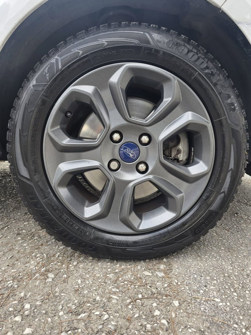 Ford EcoSport usata a Massa-Carrara (16)