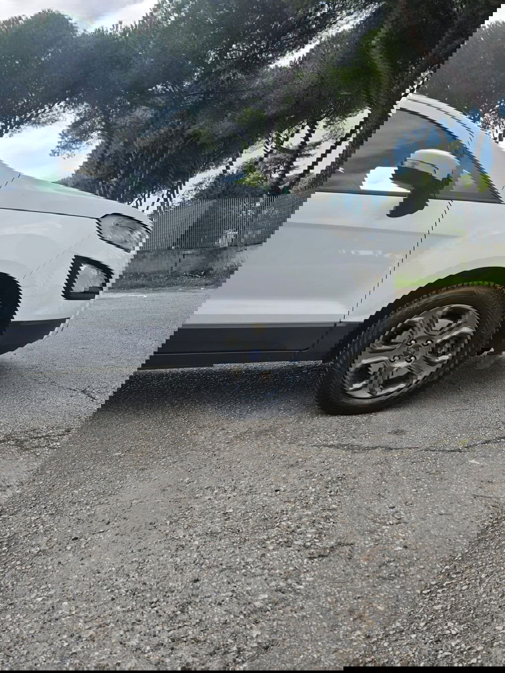 Ford EcoSport usata a Massa-Carrara (19)