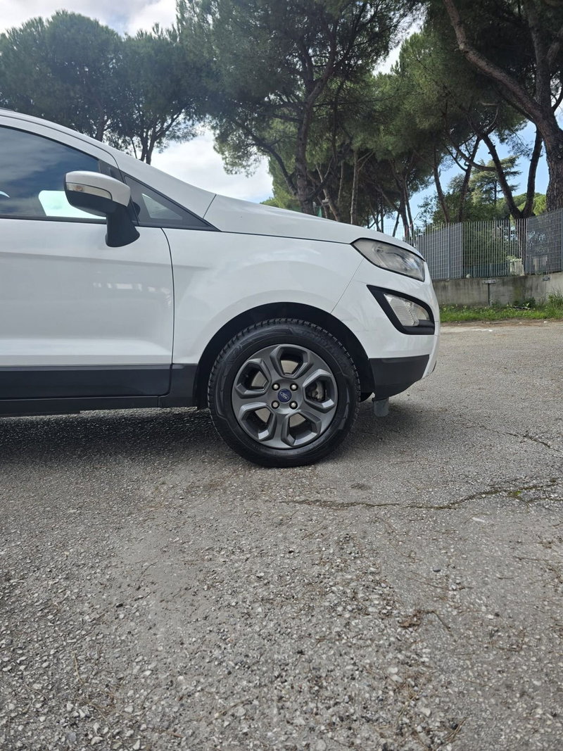 Ford EcoSport usata a Massa-Carrara (19)