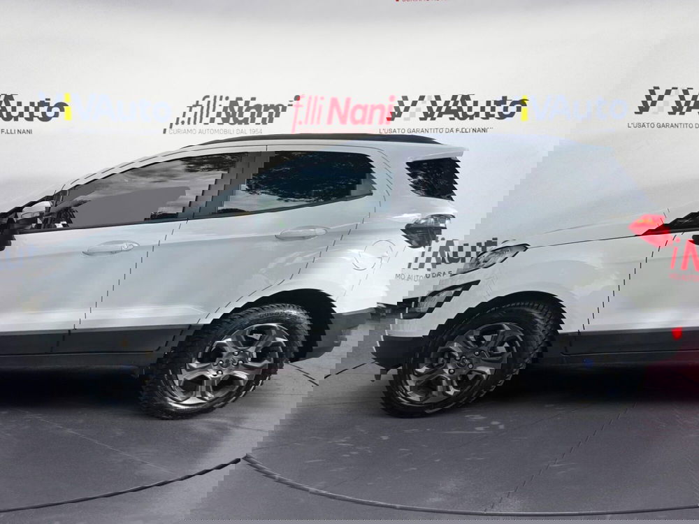 Ford EcoSport usata a Massa-Carrara (7)