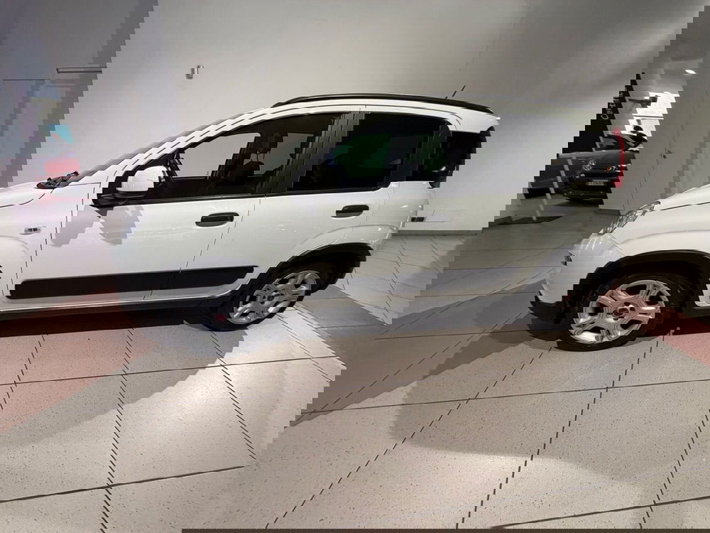 Fiat Panda usata a Genova (2)