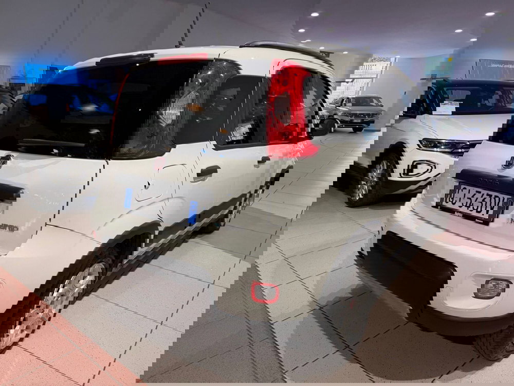 Fiat Panda usata a Genova (5)