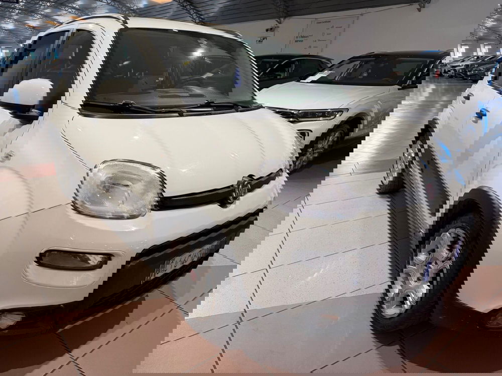 Fiat Panda usata a Genova (6)