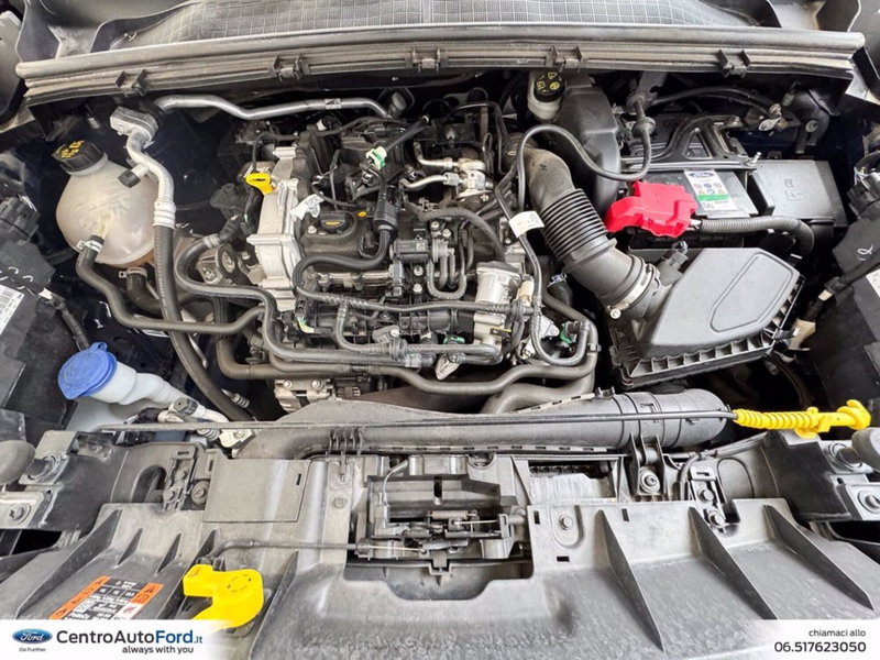 Ford Puma usata a Roma (12)