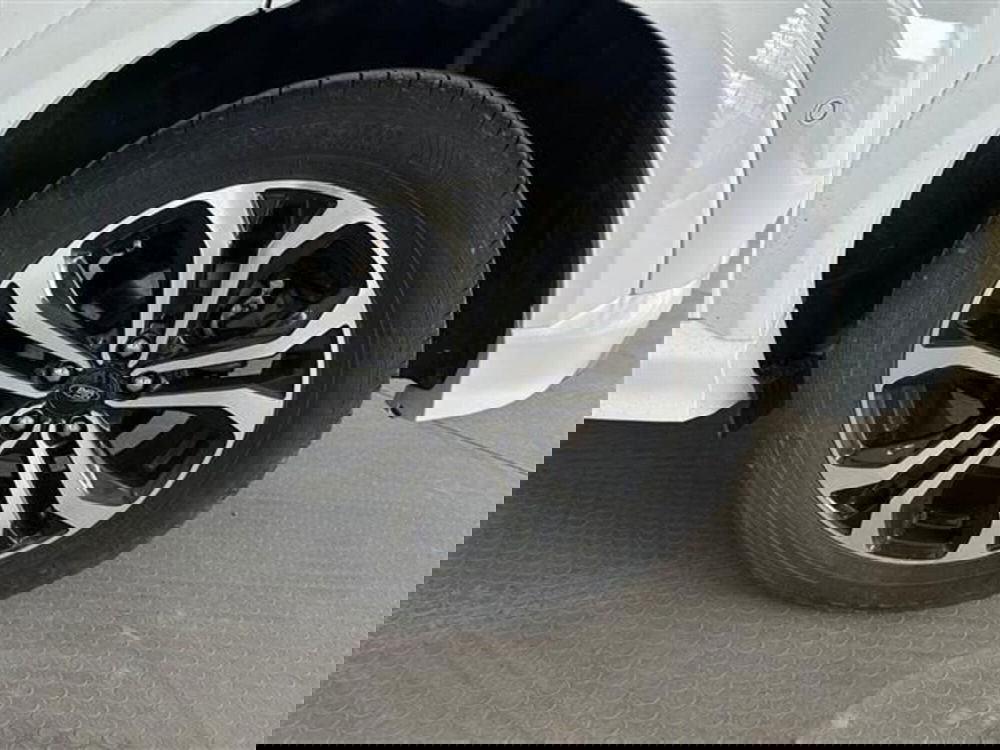 Ford Puma usata a Siena (5)