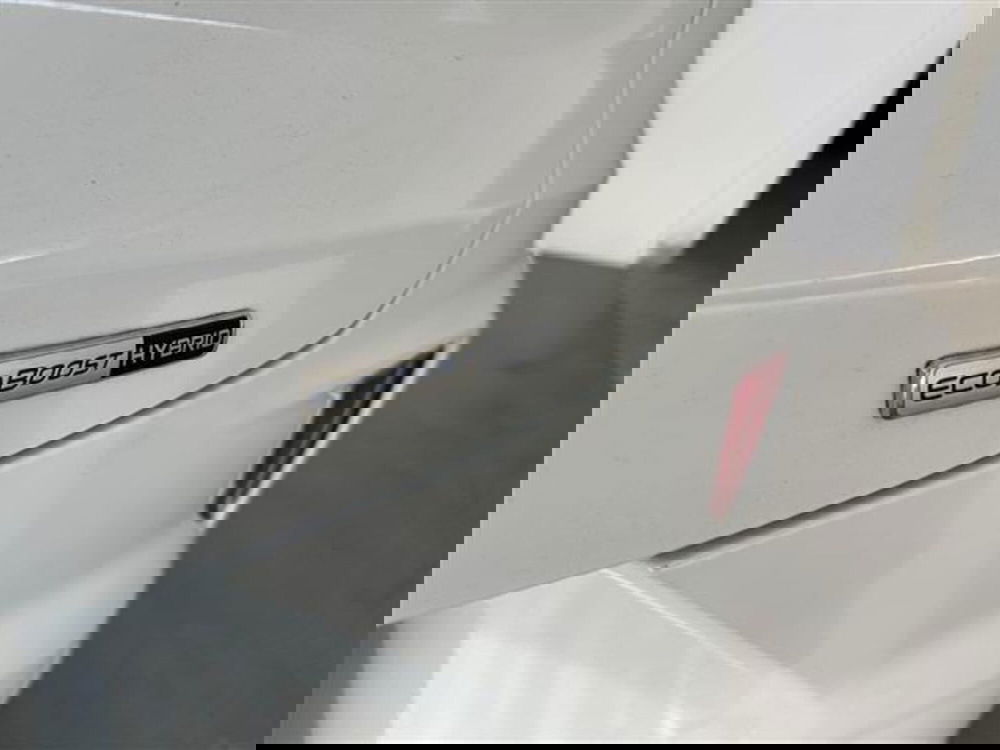 Ford Puma usata a Siena (7)