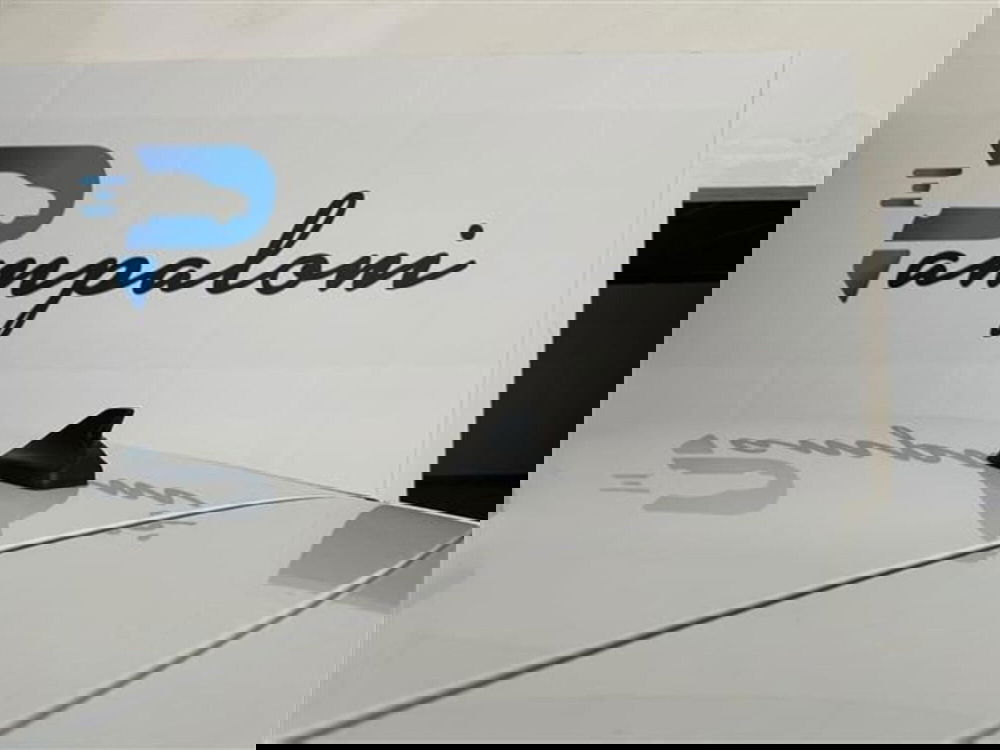 Ford Puma usata a Siena (8)