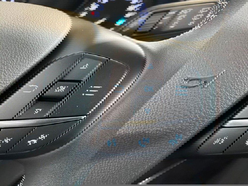 Ford Fiesta usata a Torino (14)