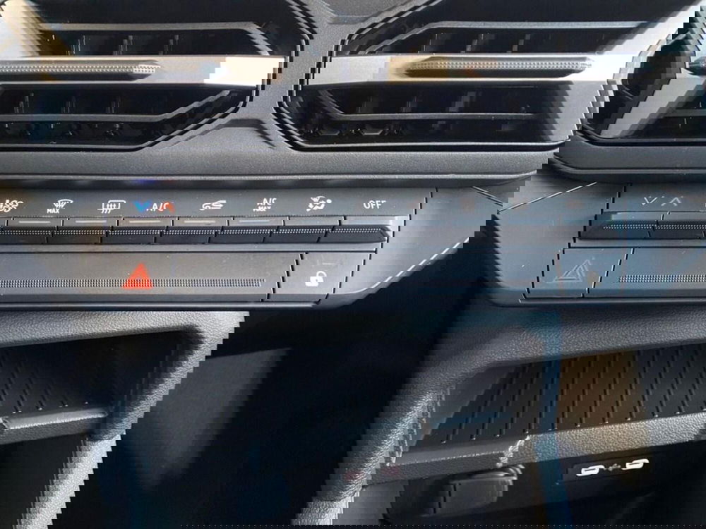 Dacia Duster Van usata a Torino (11)