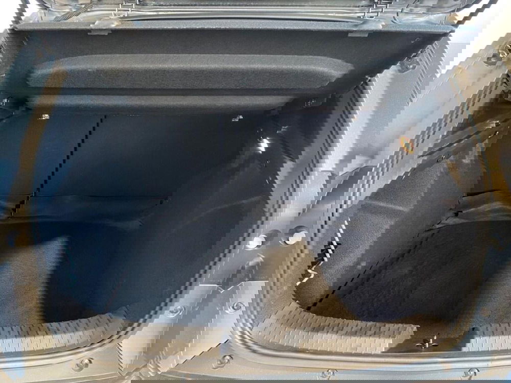 Dacia Duster Van usata a Torino (9)