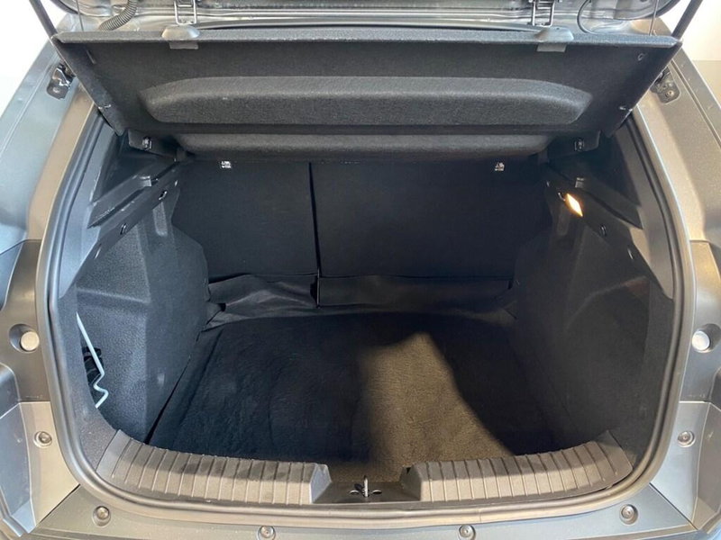 Dacia Duster Van usata a Torino (9)