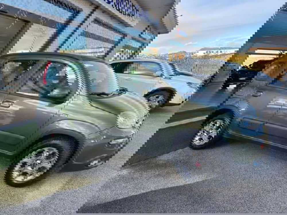 Fiat Panda usata a Campobasso (4)