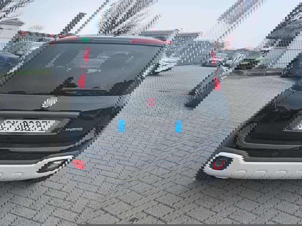 Fiat Panda Cross usata a Alessandria (7)