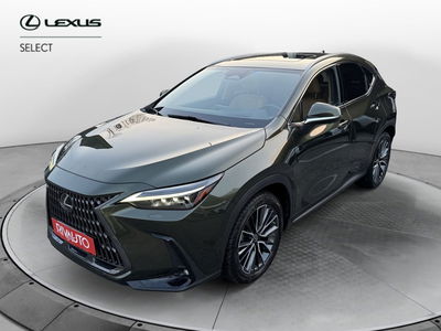 Lexus NX Plug-in 4WD Premium del 2022 usata a Como