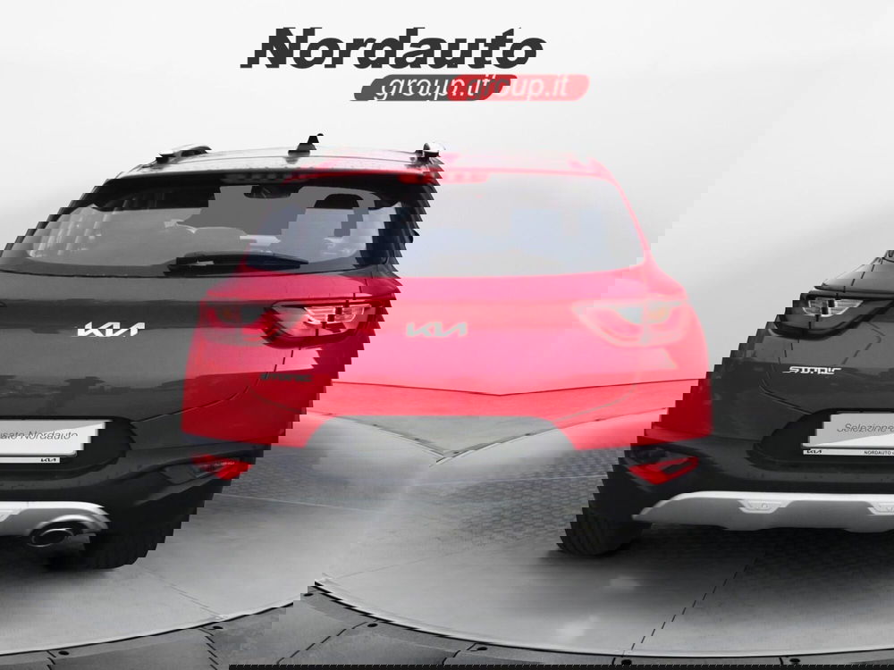 Kia Stonic usata a Belluno (6)