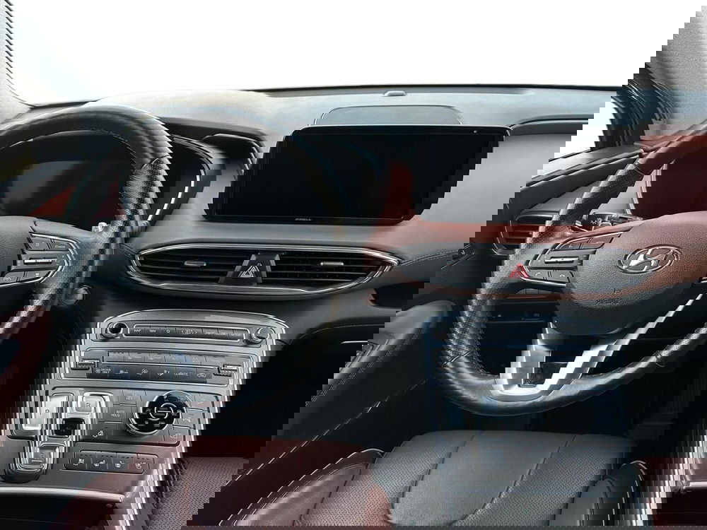 Hyundai Santa Fe usata a Pistoia (9)