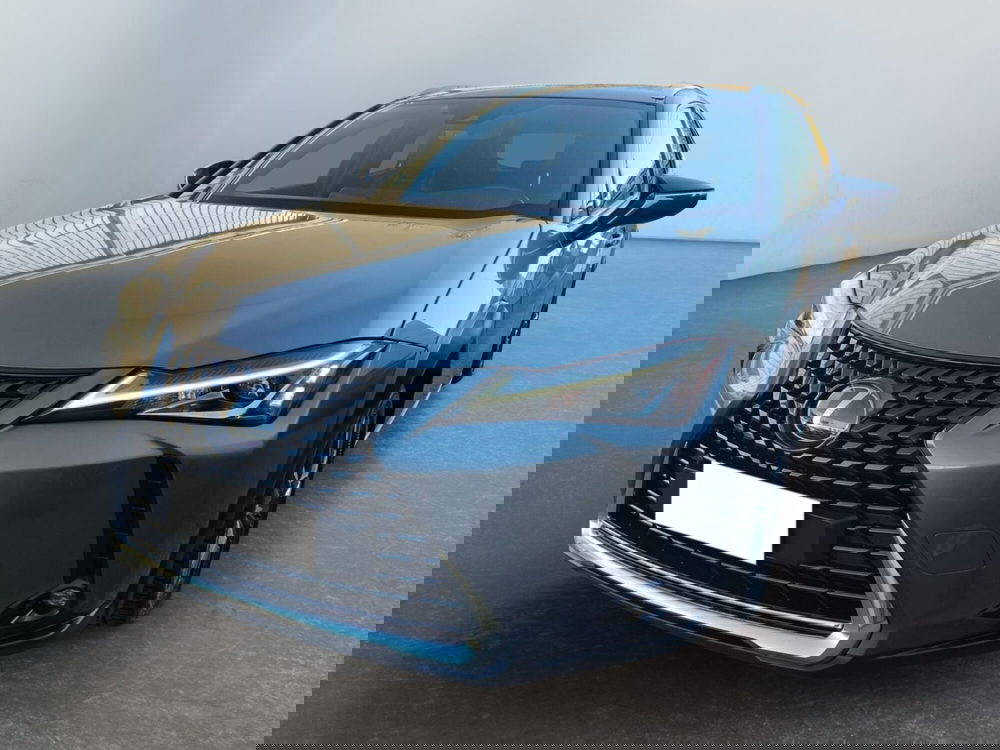 Lexus UX usata a Modena