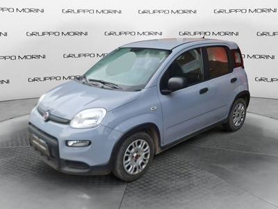 Fiat Panda Cross Cross 1.0 FireFly S&amp;S Hybrid del 2022 usata a Imola