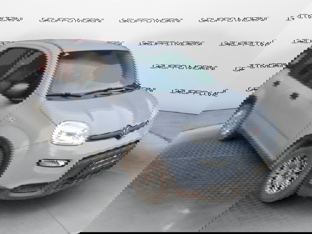 Fiat Panda Cross usata a Bologna (3)