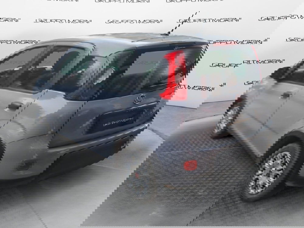 Fiat Panda Cross usata a Bologna (4)