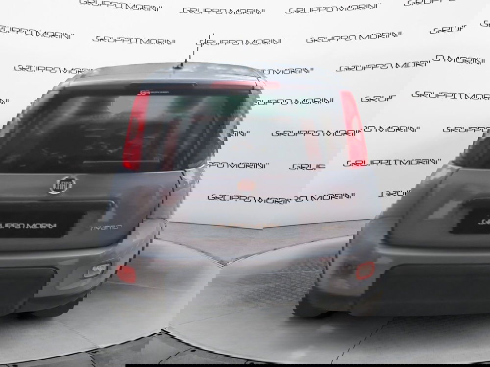 Fiat Panda Cross usata a Bologna (5)