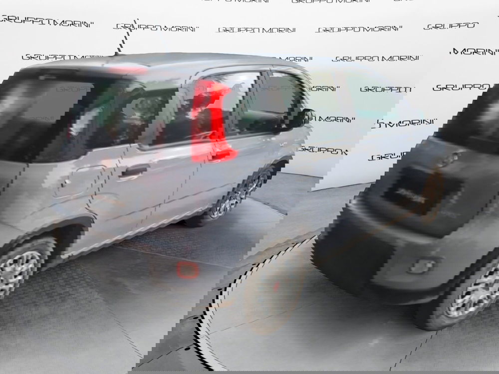 Fiat Panda Cross usata a Bologna (6)
