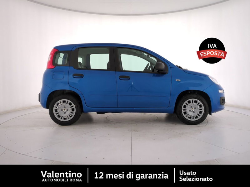 Fiat Pandina nuova a Roma (2)