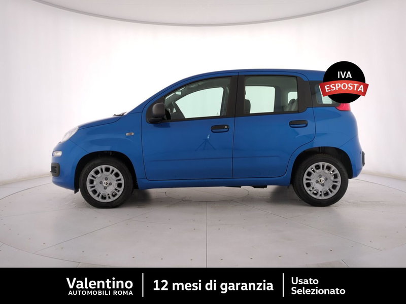 Fiat Pandina nuova a Roma (4)