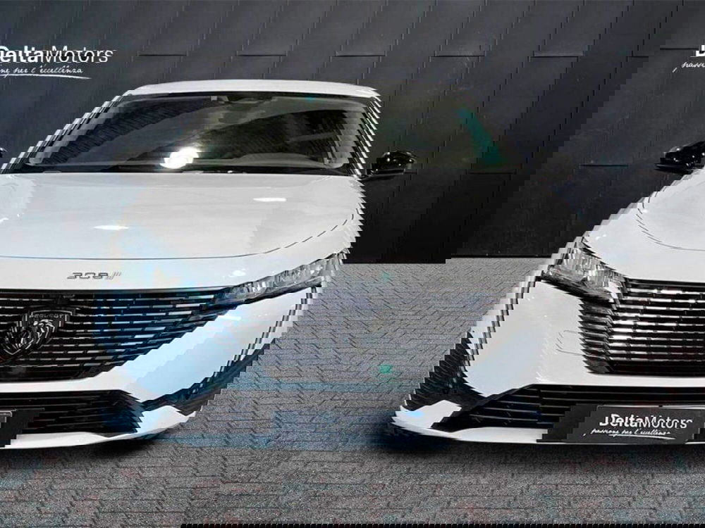 Peugeot 308 SW usata a Macerata (6)