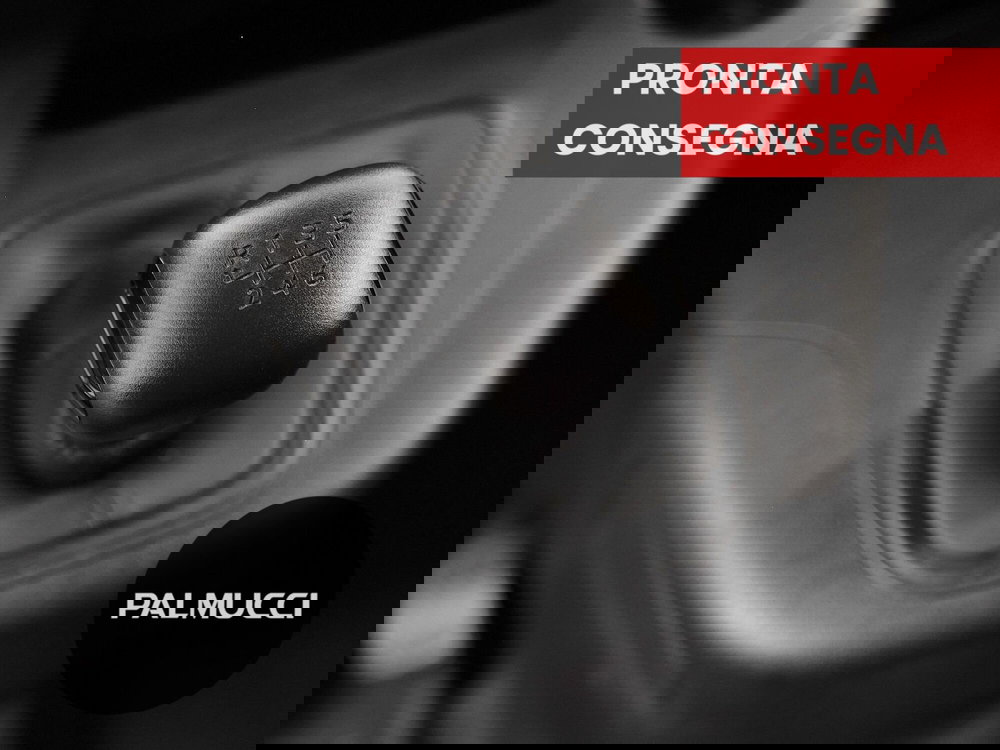 Fiat Doblò Furgone usata a Prato (7)