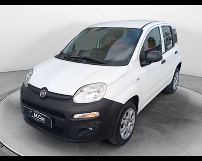 Fiat Panda van 0.9 nat.p. 70cv Pop 2p.ti serie 4 E6d del 2019 usata a Teverola