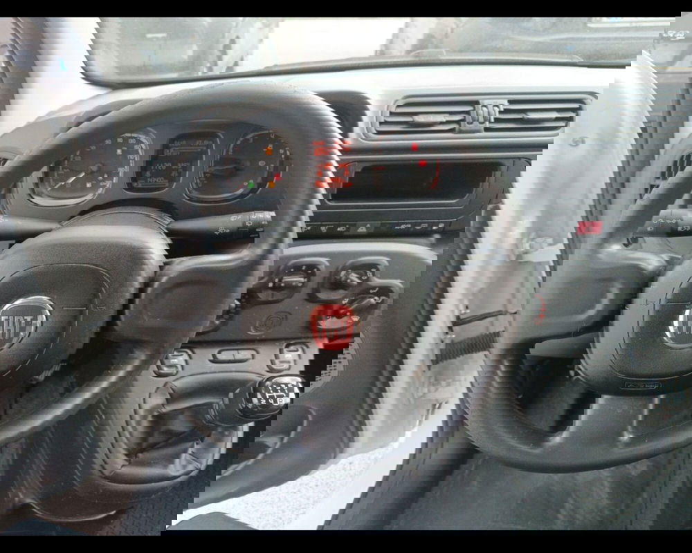 Fiat Panda usata a Caserta (15)