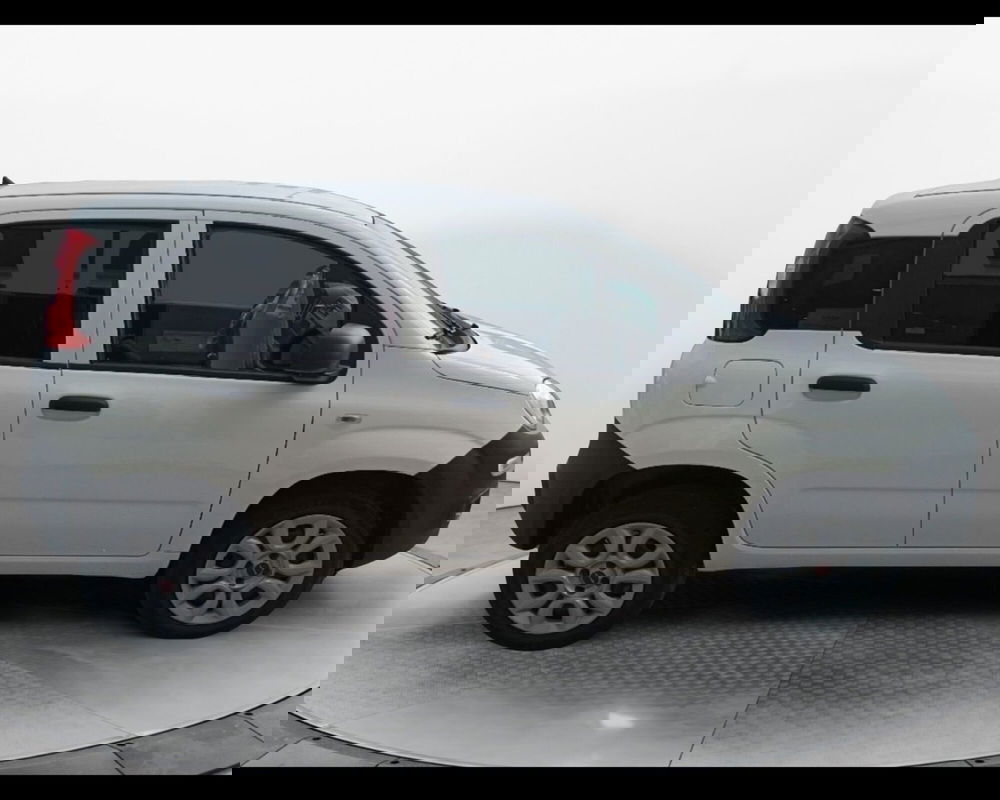Fiat Panda usata a Caserta (5)