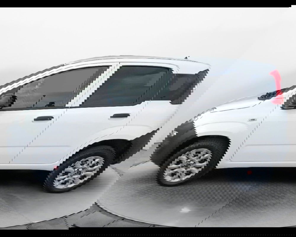 Fiat Panda usata a Caserta (6)