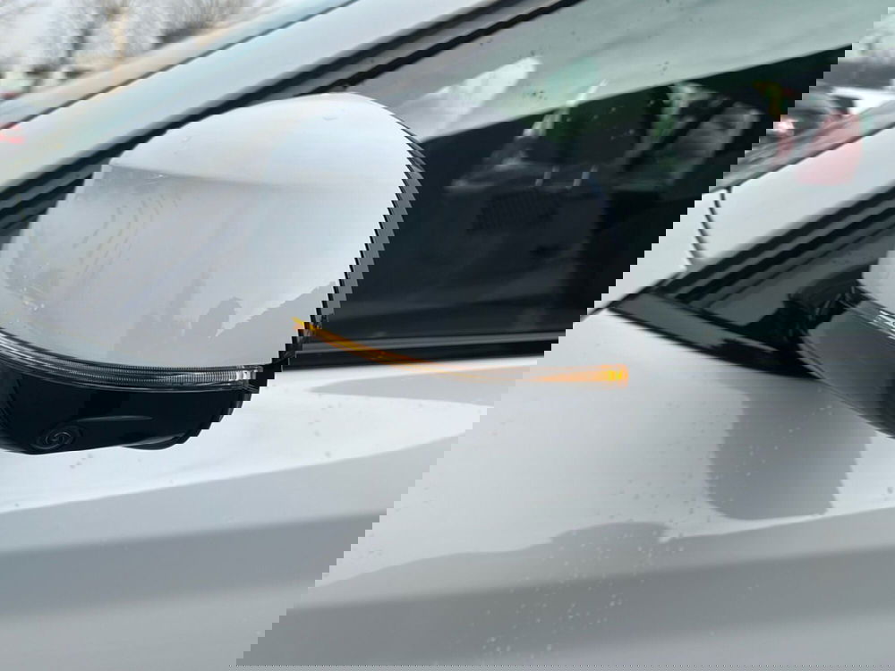 BMW X4 usata a Caserta (10)