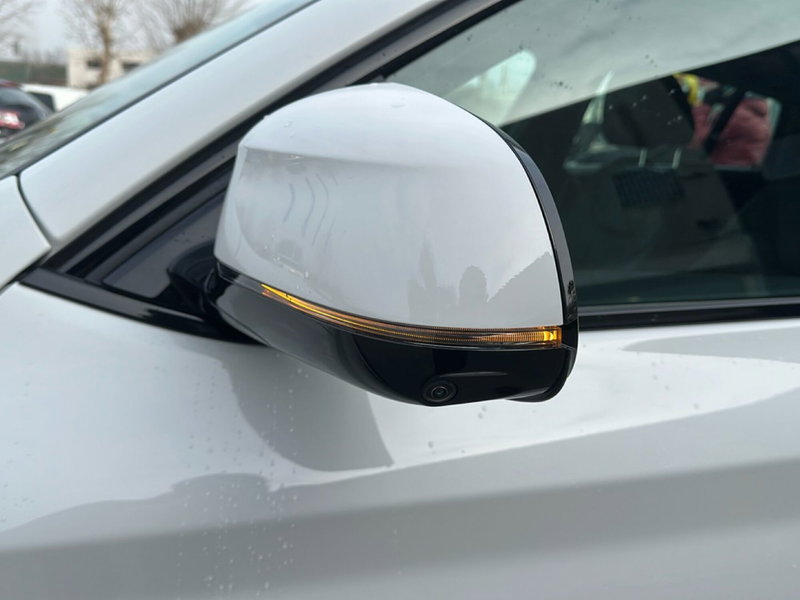 BMW X4 usata a Caserta (10)