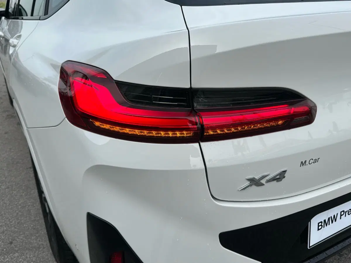 BMW X4 usata a Caserta (14)