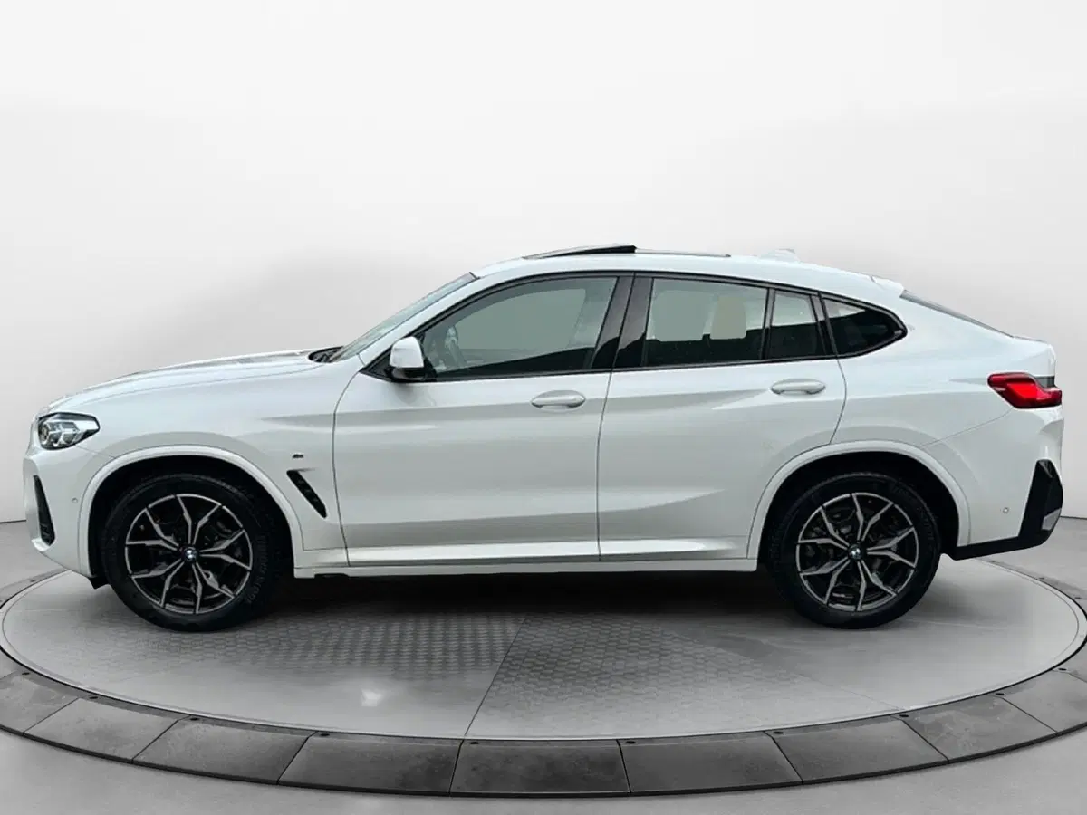 BMW X4 usata a Caserta (17)