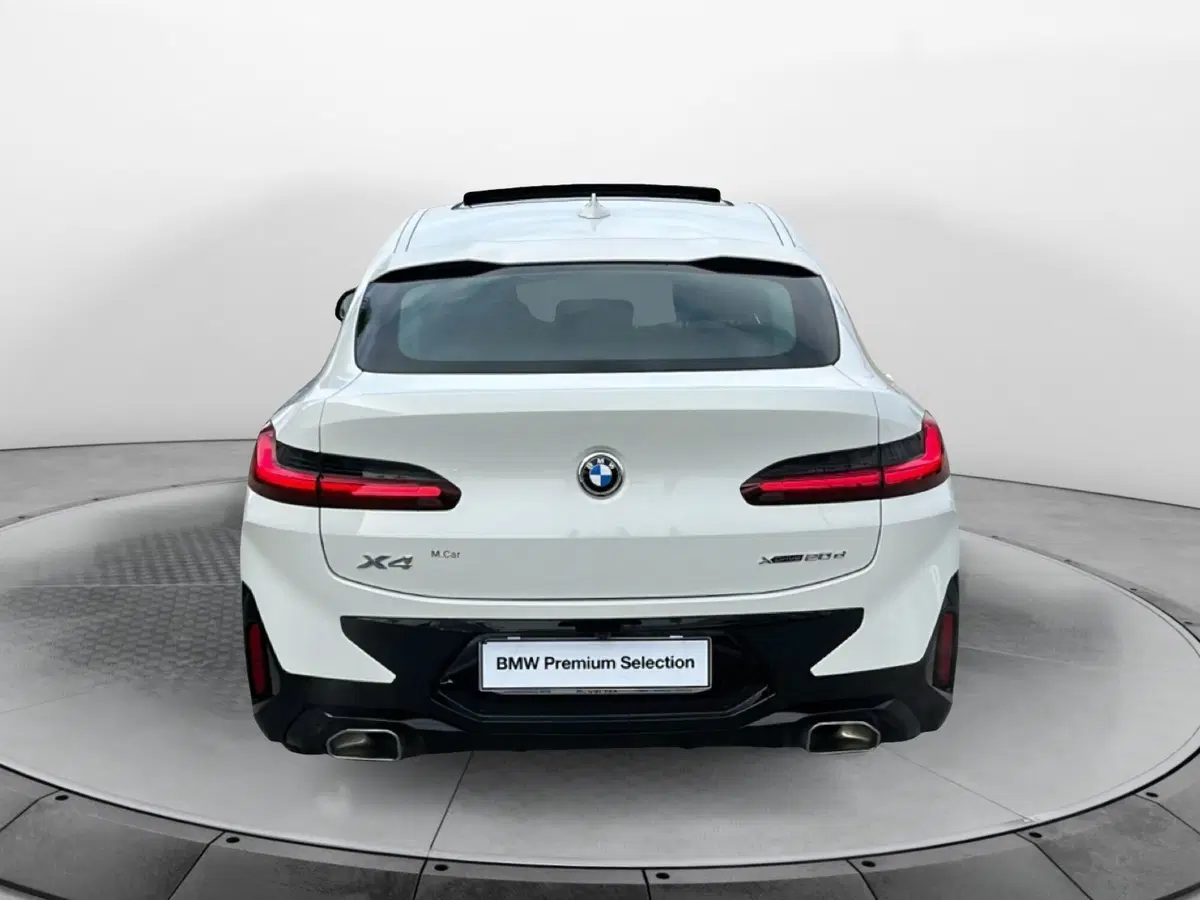 BMW X4 usata a Caserta (18)