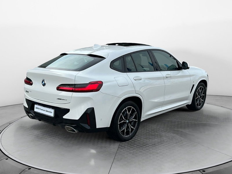 BMW X4 usata a Caserta (19)