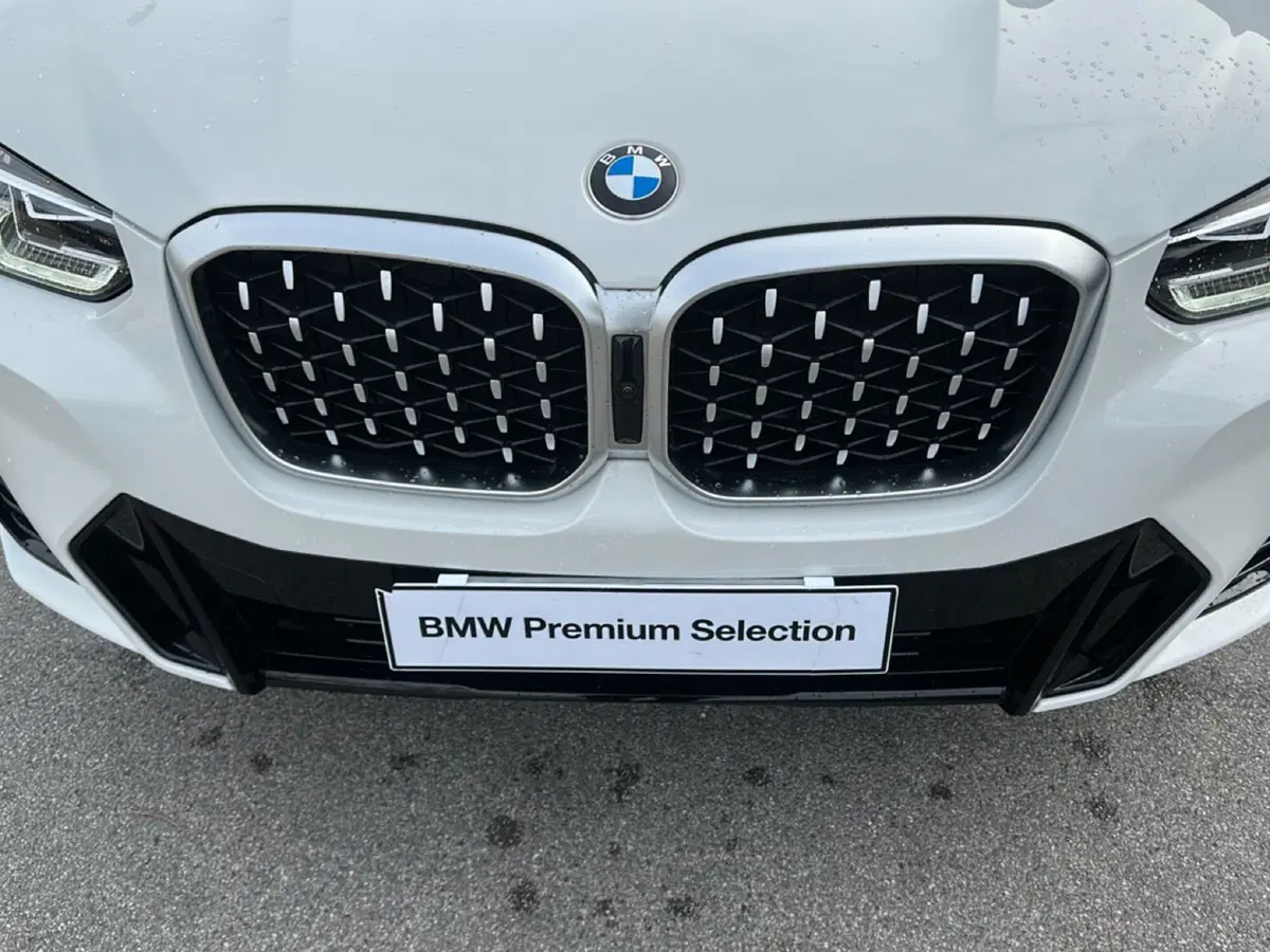 BMW X4 usata a Caserta (2)