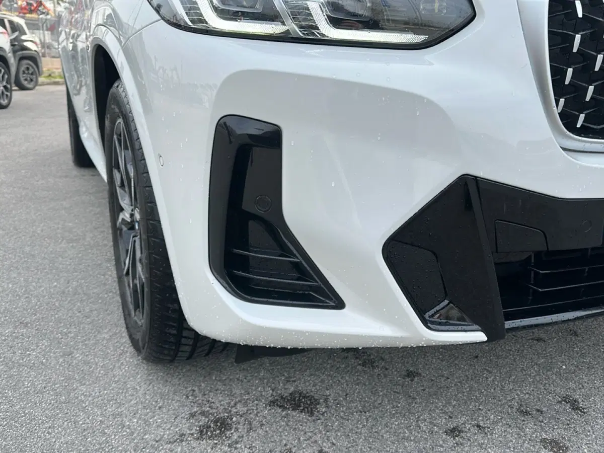 BMW X4 usata a Caserta (4)