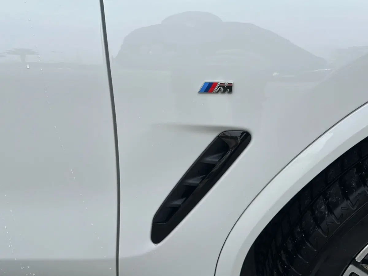 BMW X4 usata a Caserta (7)