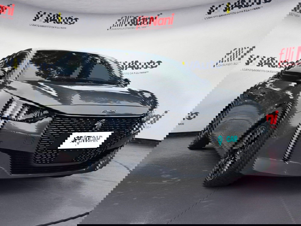 Peugeot 208 usata a Massa-Carrara (19)